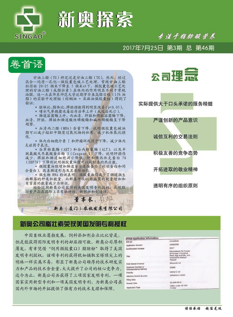 新澳2025年正版资料、警惕虚假宣传-全面释义、统计解答解释落实